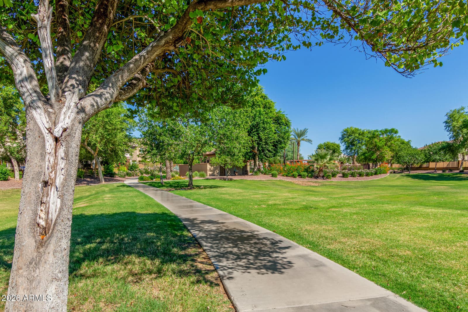2042 W DAVIS Road, Phoenix, AZ 85023 — photo 56 of 59