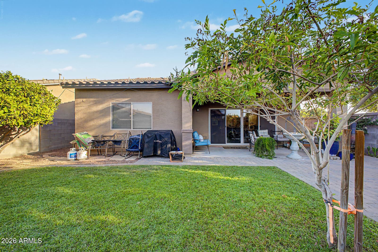528 W EVERGREEN PEAR Avenue, Queen Creek, AZ 85140 — photo 31 of 59