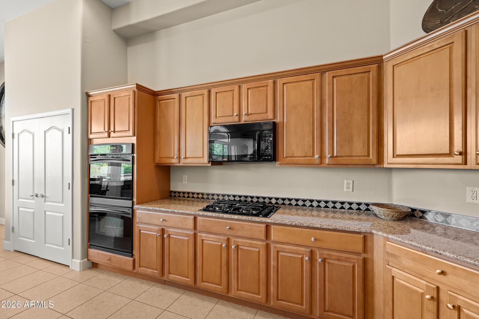 16756 S PALO VERDE VIEW Place, Vail, AZ 85641 — photo 17 of 62