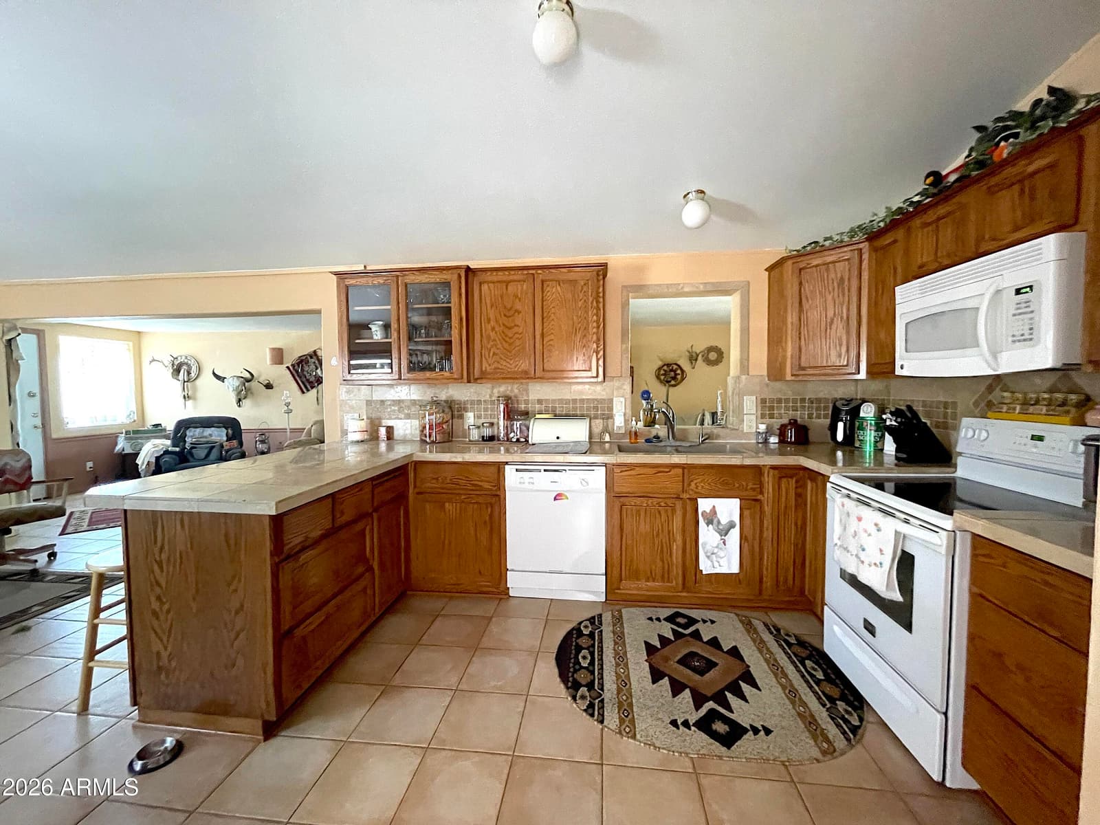 311 S PIEDRA NEGRA Drive, Queen Valley, AZ 85118 — photo 2 of 17