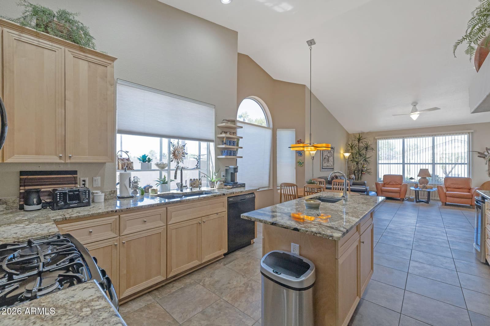 3768 N 155TH Lane, Goodyear, AZ 85395 — photo 11 of 32