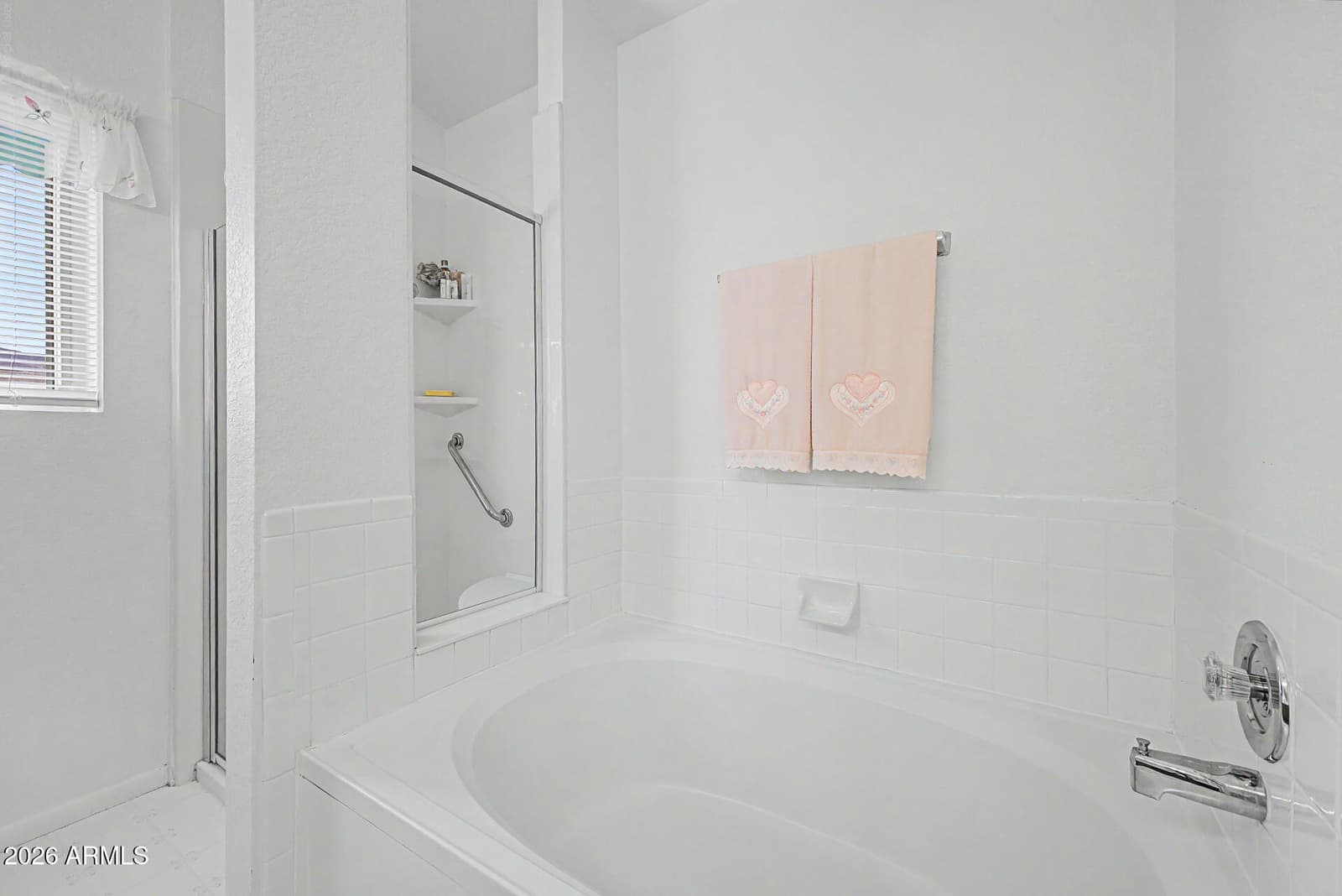 3686 W QUASAR Street, Tucson, AZ 85741 — photo 19 of 36