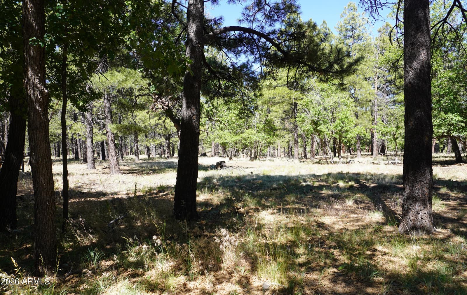 1568 N WAKONDA Street, Flagstaff, AZ 86004 — photo 32 of 32