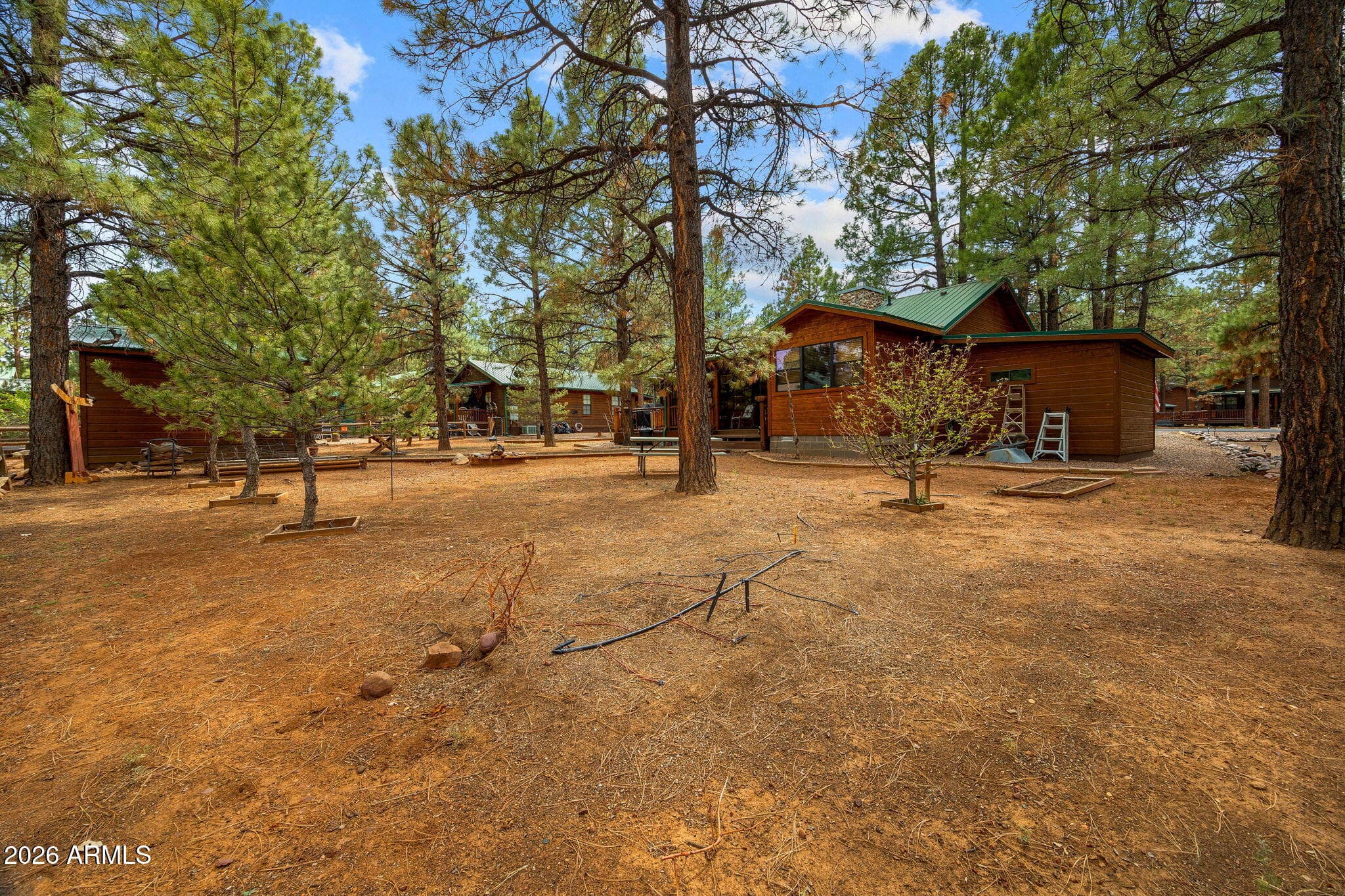 2702 PALOMINO Trail, Overgaard, AZ 85933 — photo 28 of 47