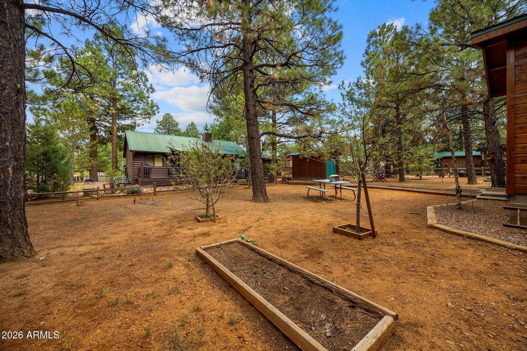 2702 PALOMINO Trail, Overgaard, AZ 85933 — photo 29 of 47
