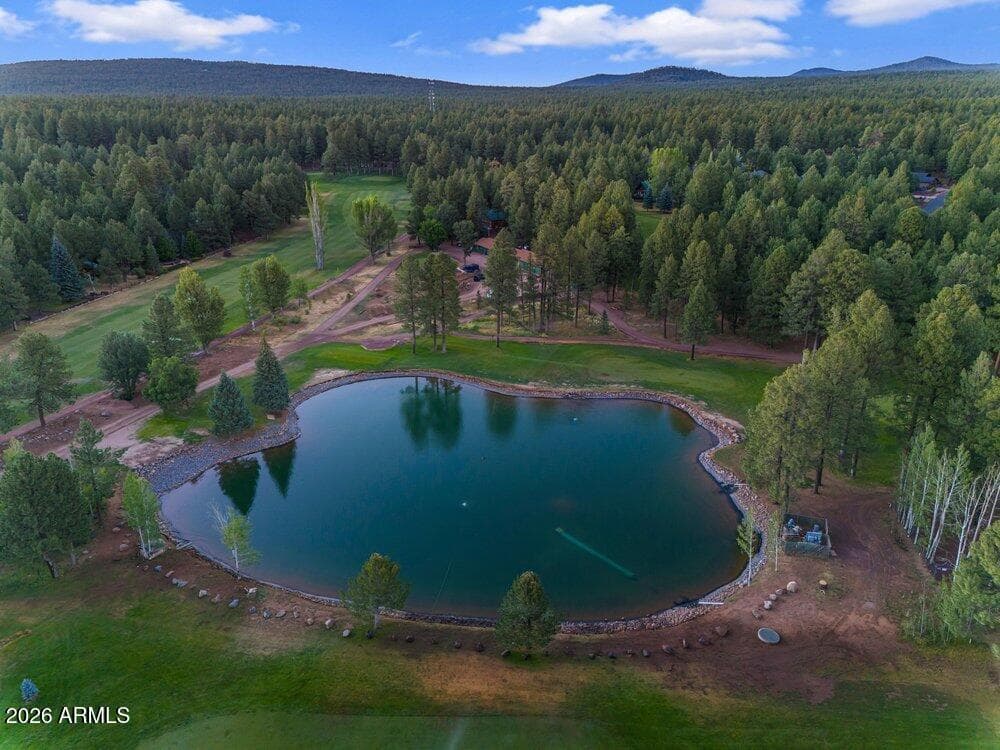 4251 Branding Iron Loop Loop, Pinetop, AZ 85935 — photo 3 of 136