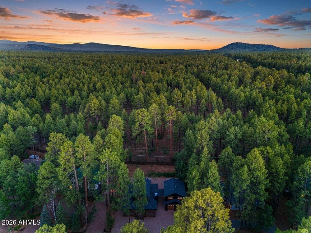 4251 Branding Iron Loop Loop, Pinetop, AZ 85935 — photo 49 of 136