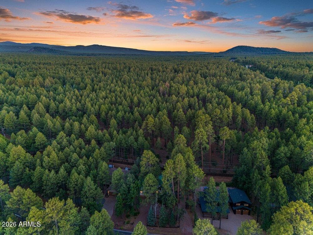 4251 Branding Iron Loop Loop, Pinetop, AZ 85935 — photo 51 of 136