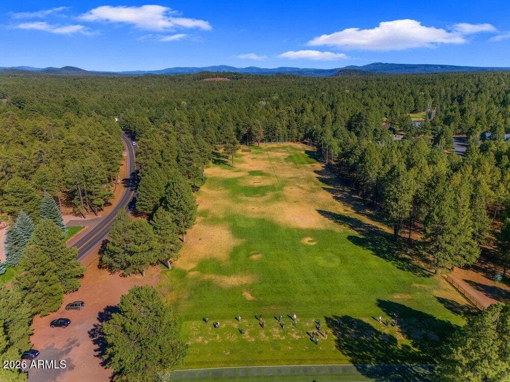 4251 Branding Iron Loop Loop, Pinetop, AZ 85935 — photo 112 of 136