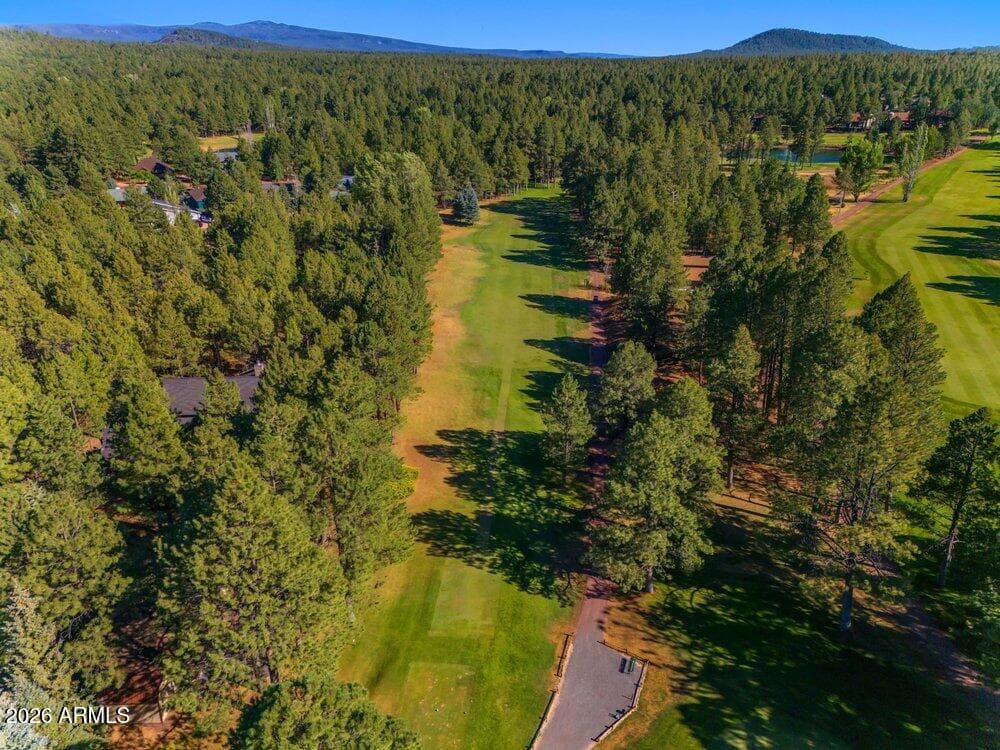 4251 Branding Iron Loop Loop, Pinetop, AZ 85935 — photo 113 of 136
