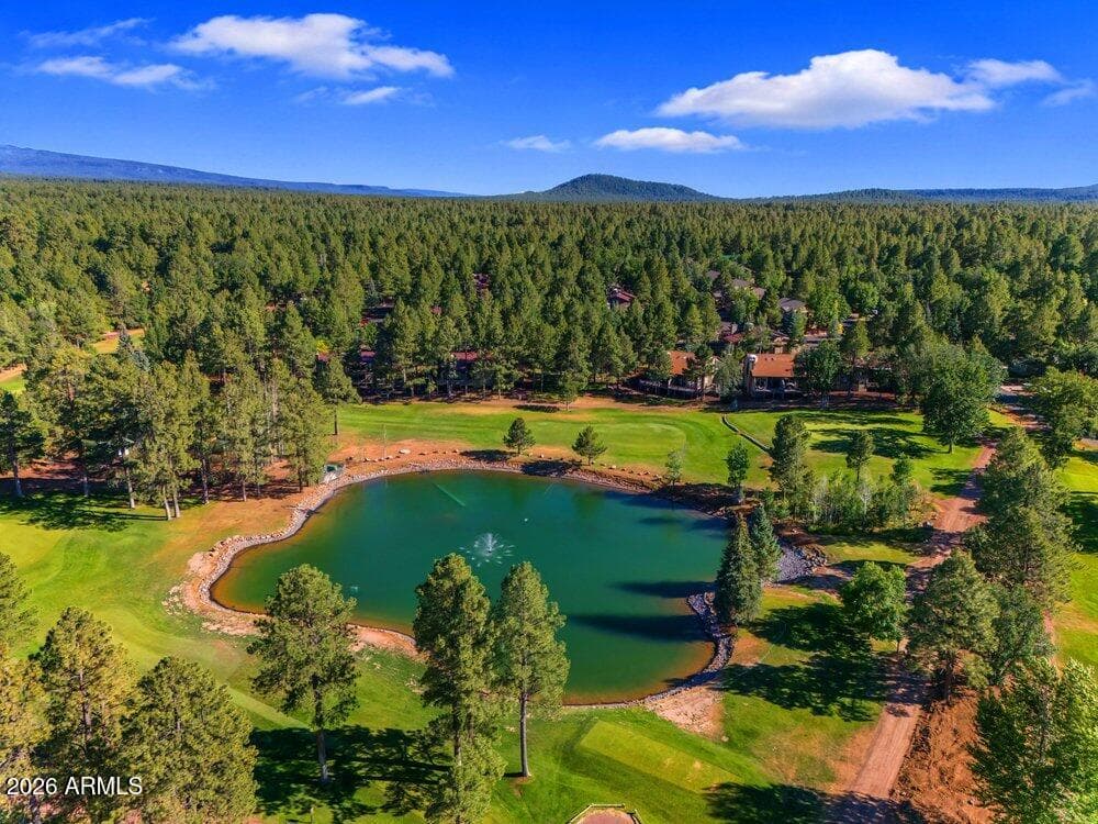 4251 Branding Iron Loop Loop, Pinetop, AZ 85935 — photo 115 of 136