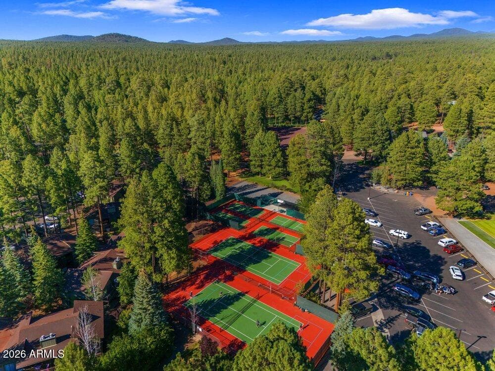 4251 Branding Iron Loop Loop, Pinetop, AZ 85935 — photo 116 of 136