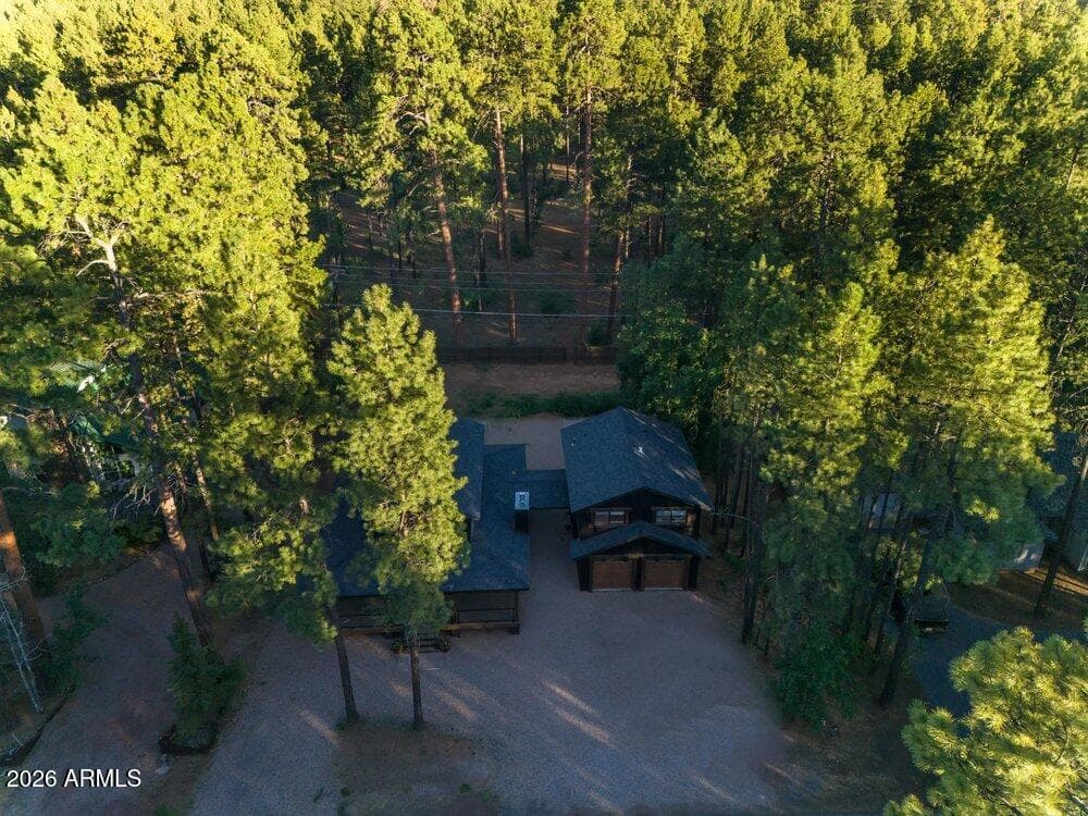4251 Branding Iron Loop Loop, Pinetop, AZ 85935 — photo 125 of 136