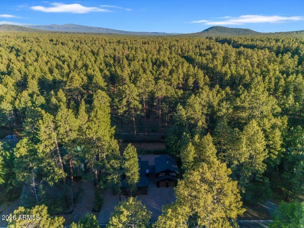 4251 Branding Iron Loop Loop, Pinetop, AZ 85935 — photo 126 of 136