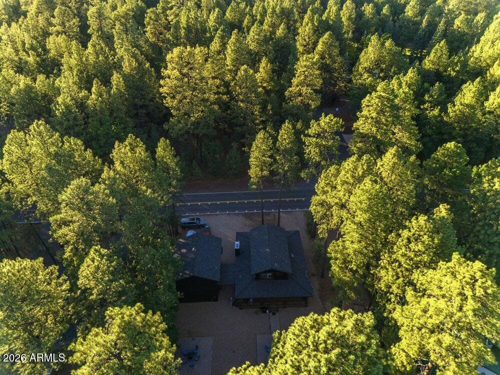 4251 Branding Iron Loop Loop, Pinetop, AZ 85935 — photo 129 of 136