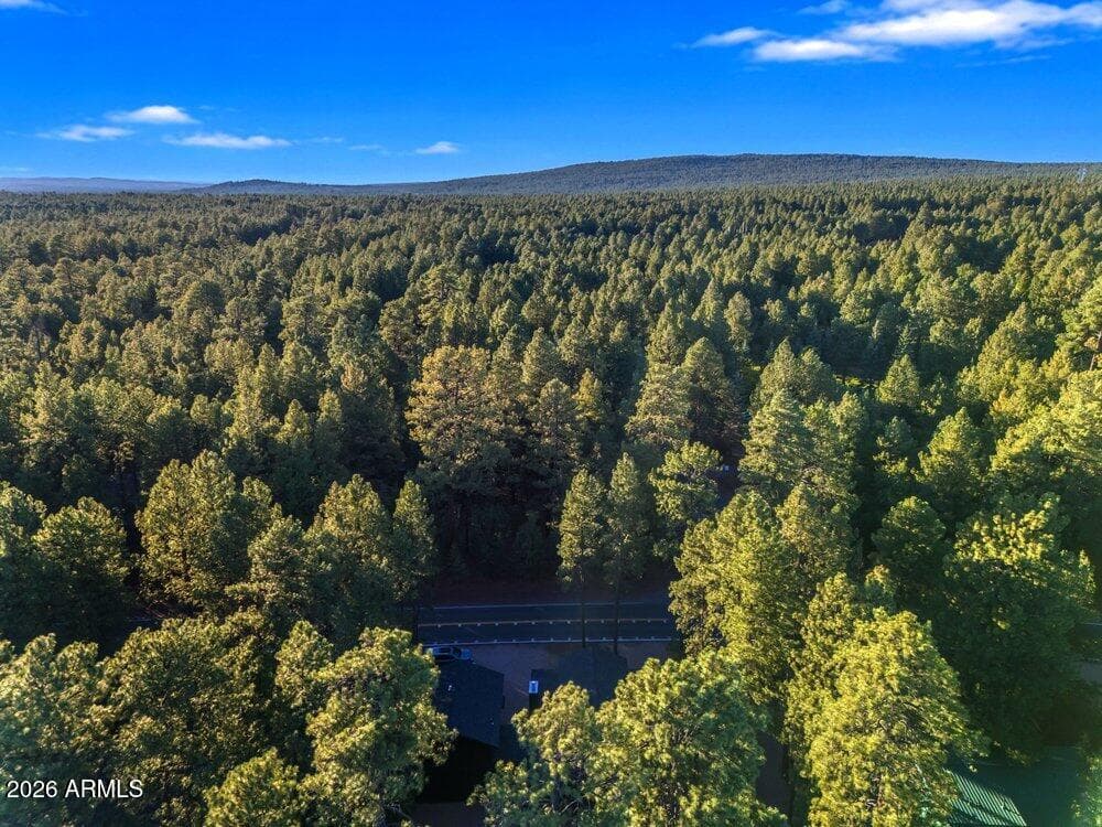 4251 Branding Iron Loop Loop, Pinetop, AZ 85935 — photo 130 of 136