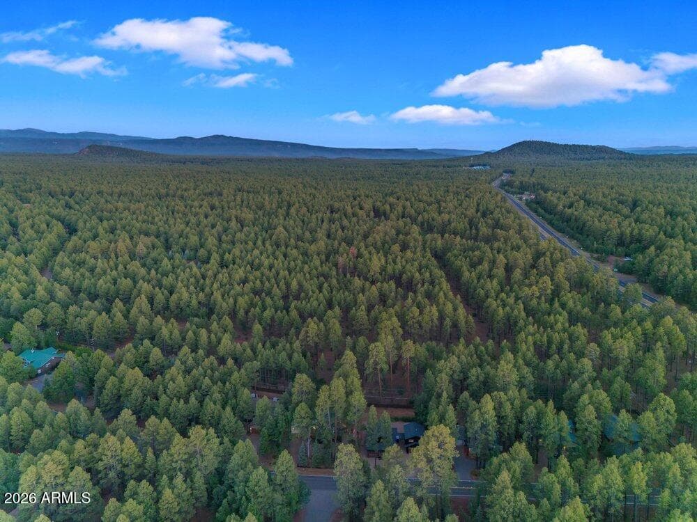 4251 Branding Iron Loop Loop, Pinetop, AZ 85935 — photo 131 of 136