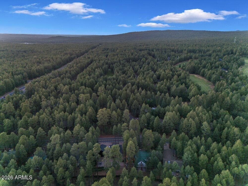 4251 Branding Iron Loop Loop, Pinetop, AZ 85935 — photo 133 of 136