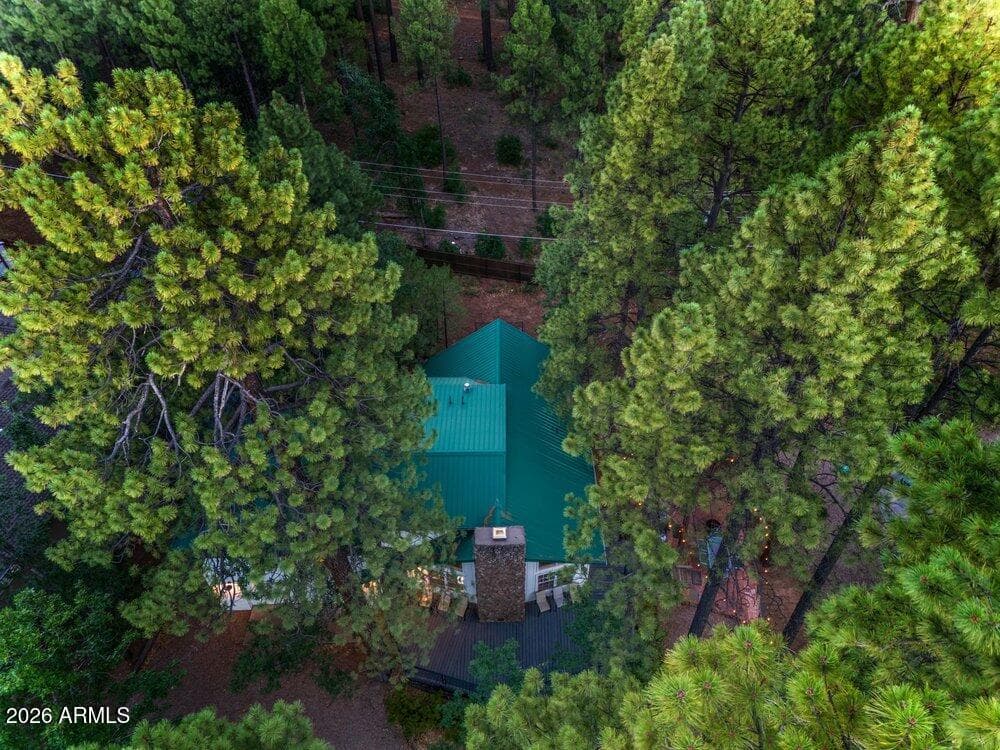 4273 E Branding Iron Loop Loop, Pinetop, AZ 85935 — photo 81 of 136
