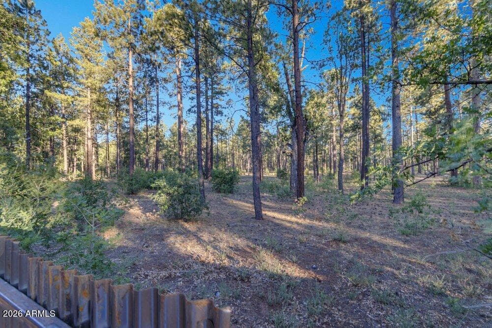4273 E Branding Iron Loop Loop, Pinetop, AZ 85935 — photo 105 of 136