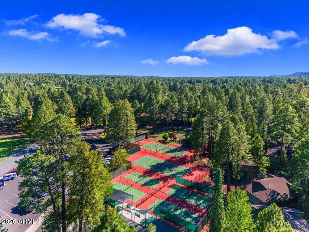 4273 E Branding Iron Loop Loop, Pinetop, AZ 85935 — photo 118 of 136