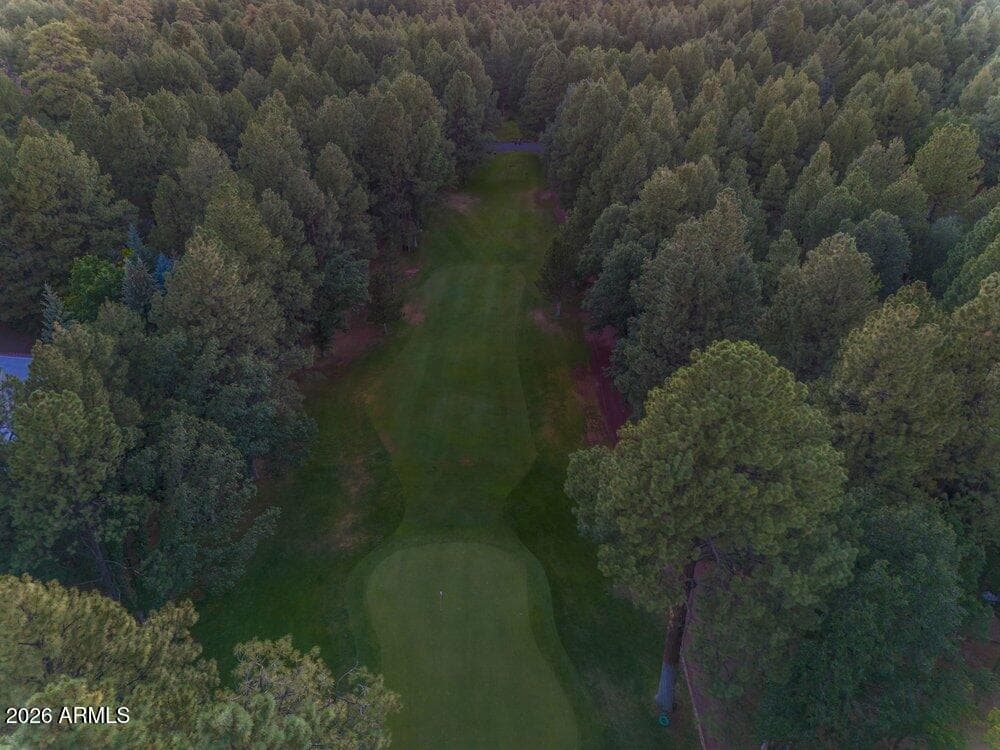 4273 E Branding Iron Loop Loop, Pinetop, AZ 85935 — photo 135 of 136
