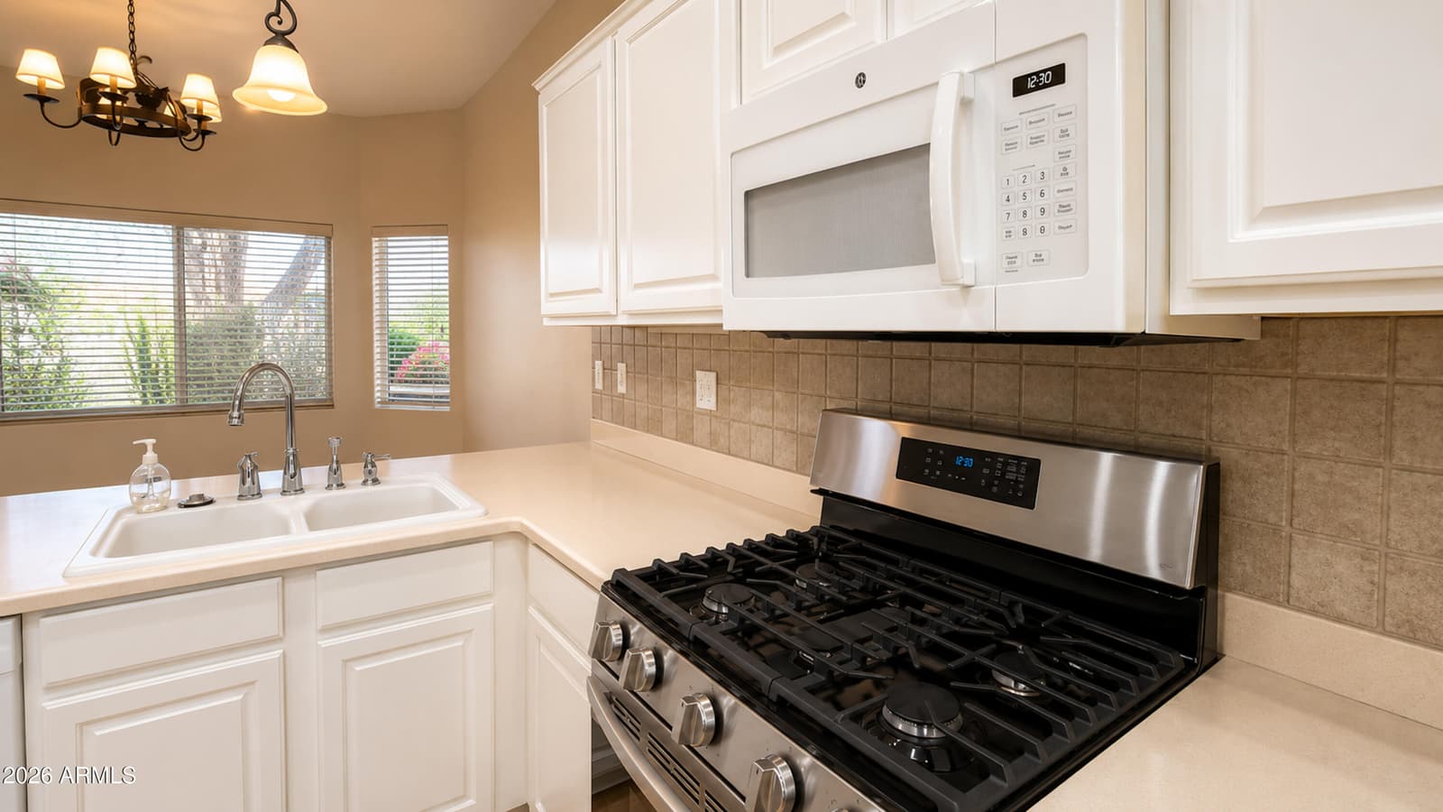 22307 N VENADO Drive, Sun City West, AZ 85375 — photo 25 of 59