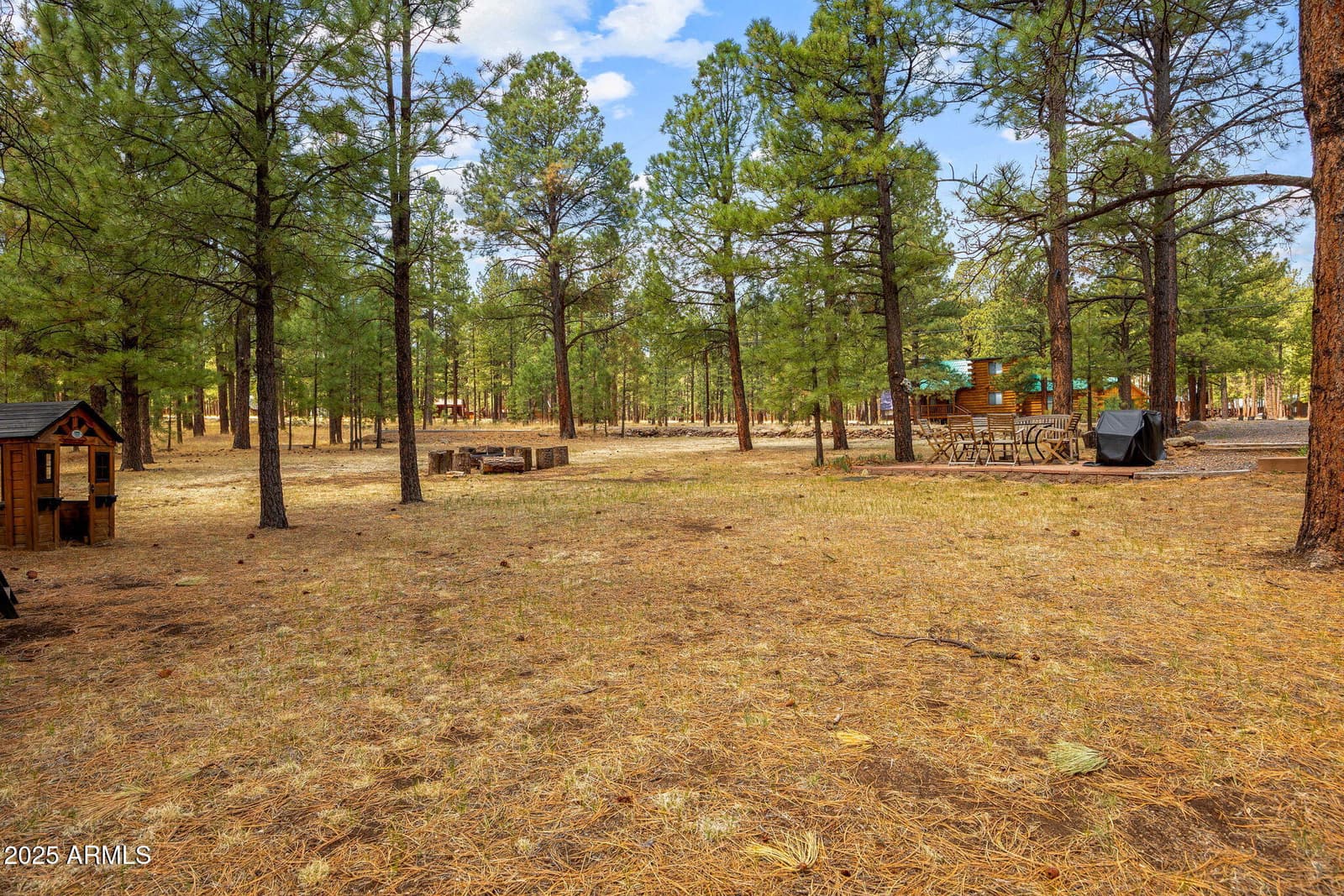 2 Acr 1027 Road, Greer, AZ 85927 — photo 43 of 58