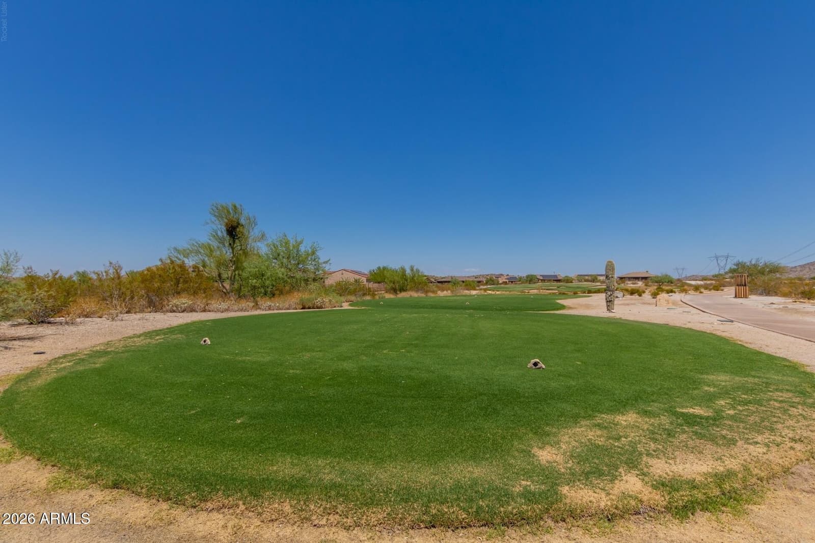 17742 W GRANITE VIEW Drive, Goodyear, AZ 85338 — photo 70 of 98