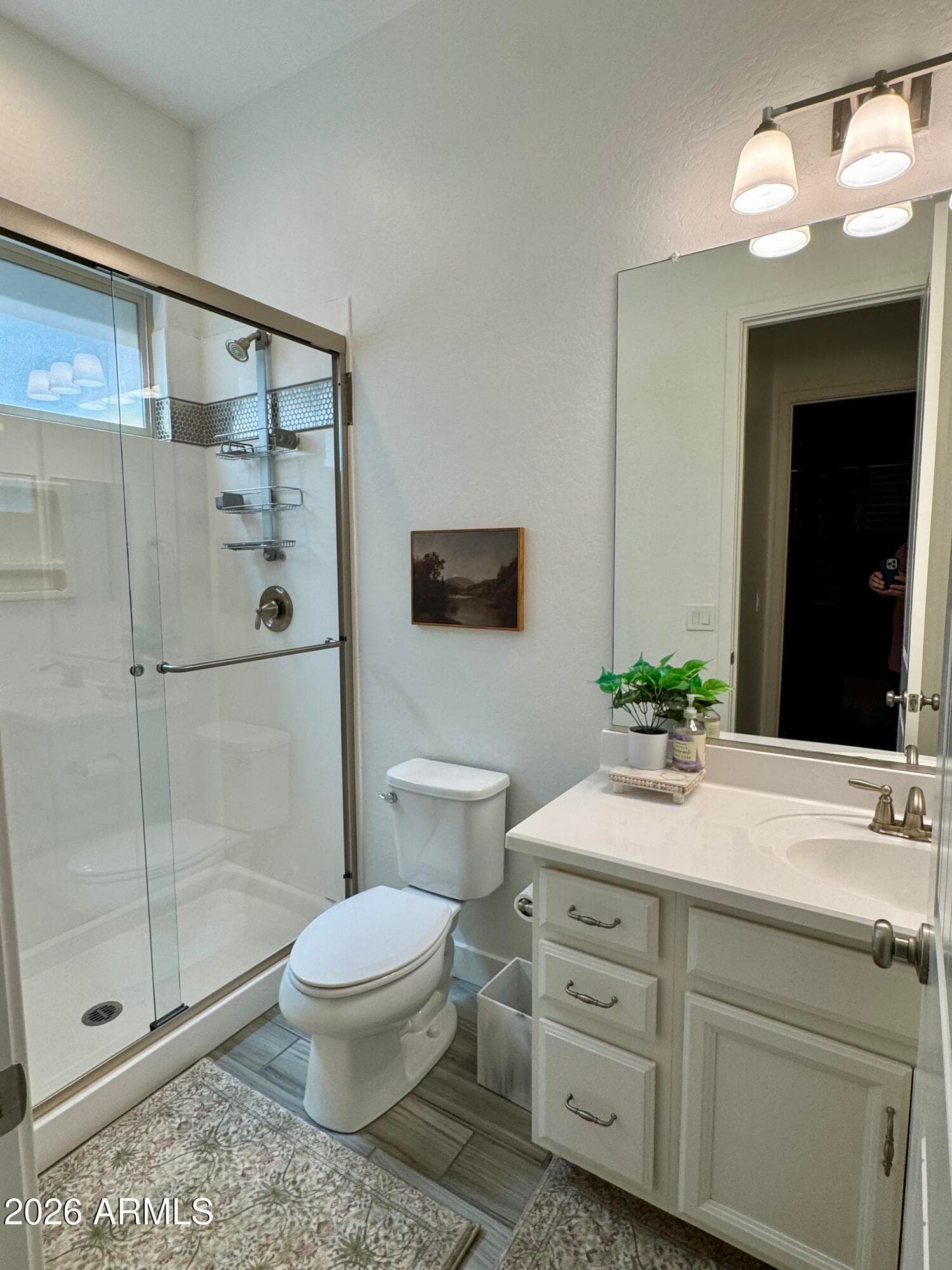 3056 E APPALOOSA Road, Gilbert, AZ 85296 — photo 29 of 41