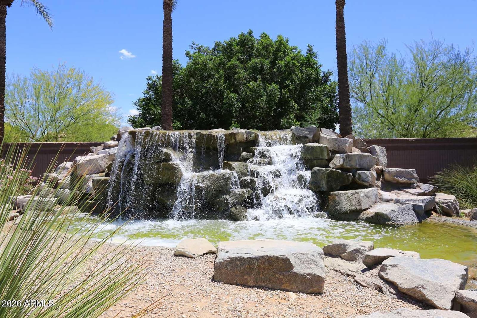 8203 W Tonto Lane, Peoria, AZ 85382 — photo 14 of 21