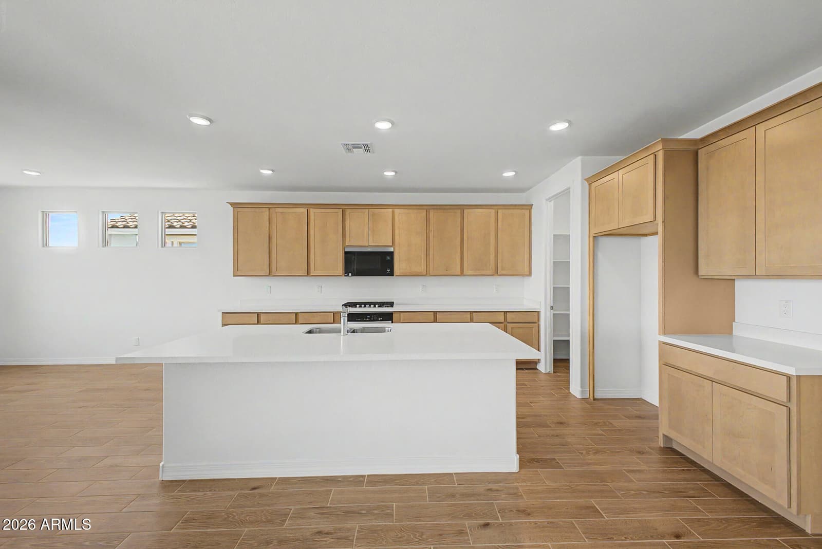 17453 W SAGUARO VISTA Drive, Surprise, AZ 85387 — photo 3 of 12