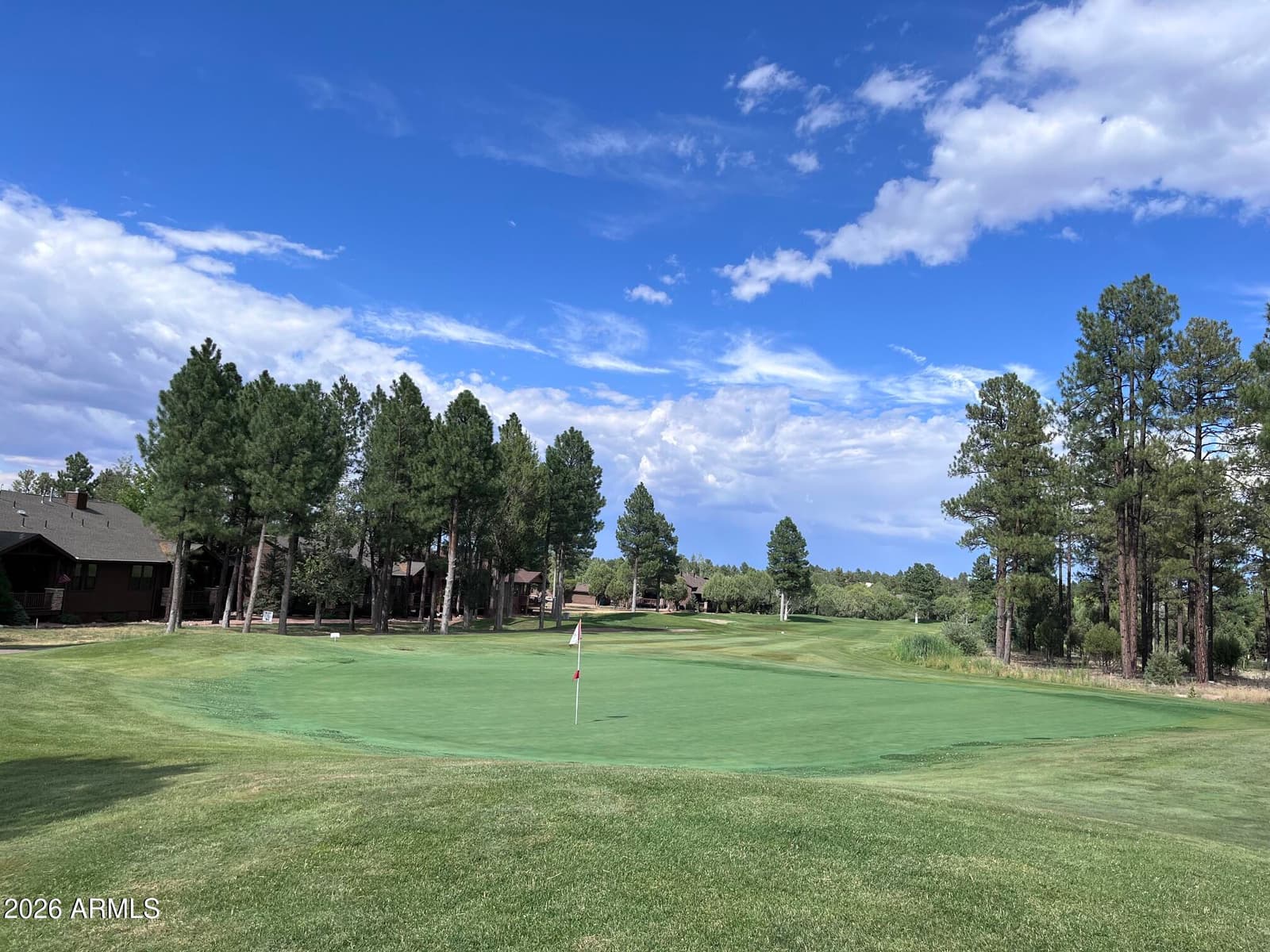2821 W VILLA Loop, Show Low, AZ 85901 — photo 25 of 28