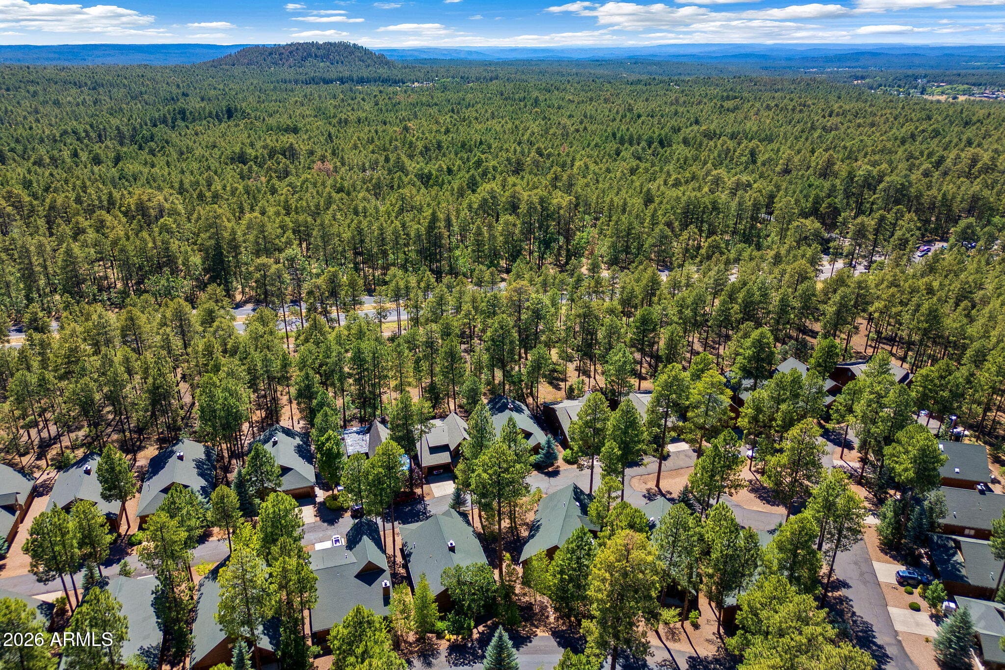 2964 TIMBERLINE Road, Pinetop, AZ 85935 — photo 33 of 48