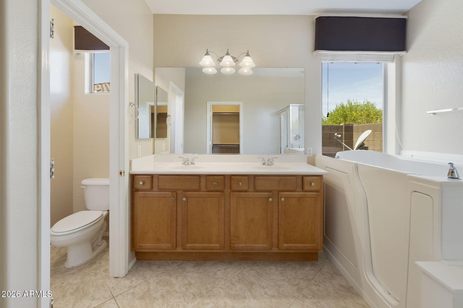 6745 E LAS ANIMAS Trail, Gold Canyon, AZ 85118 — photo 40 of 78