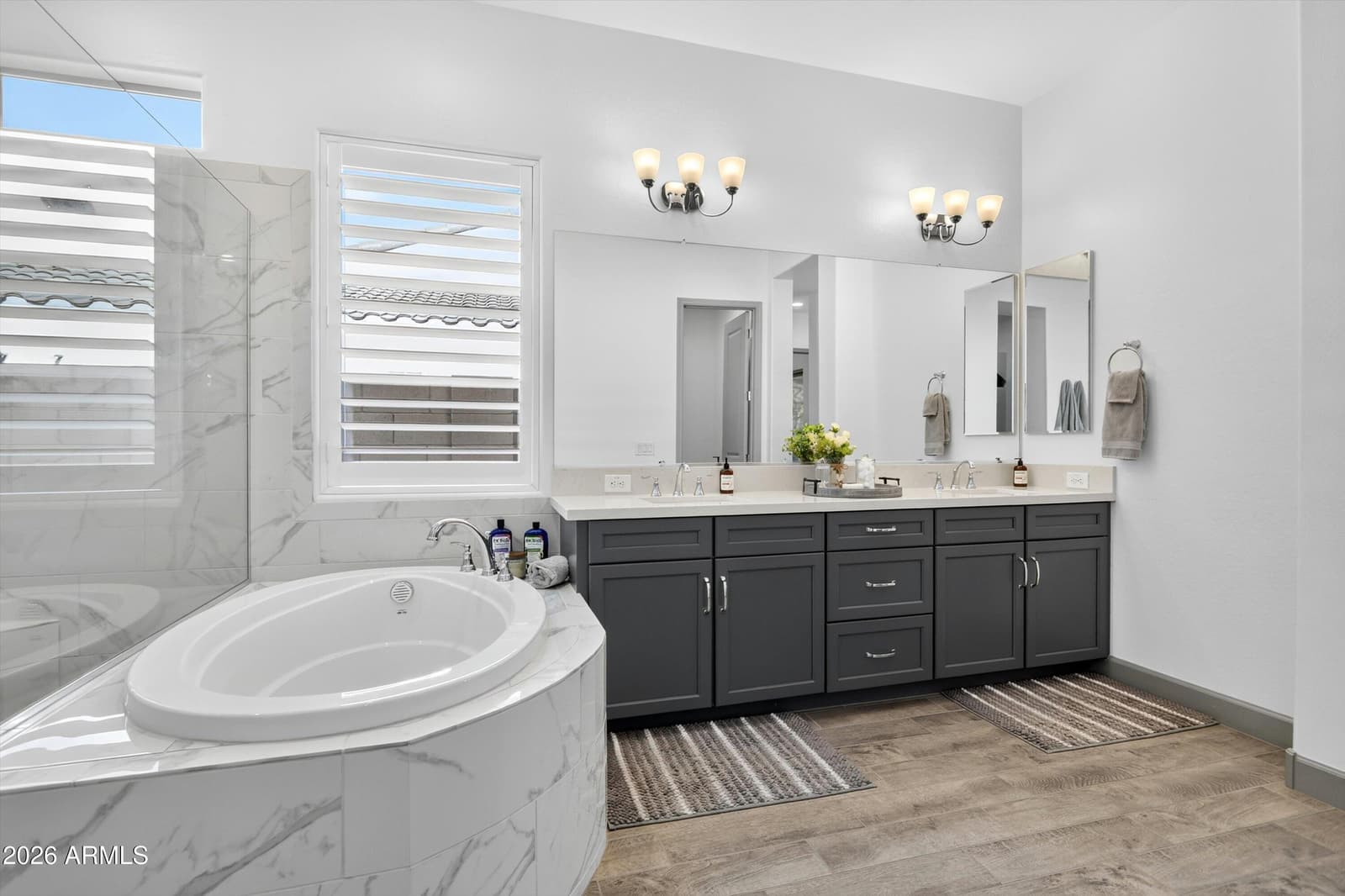 20229 W SAN JUAN Avenue, Litchfield Park, AZ 85340 — photo 30 of 62