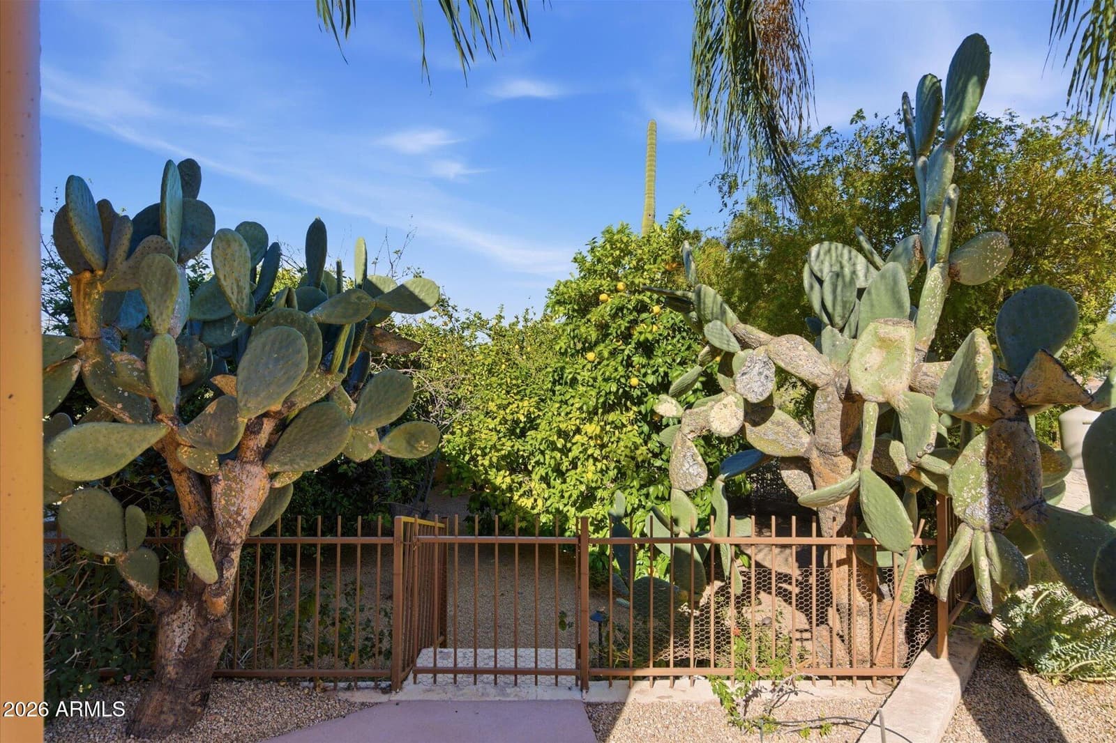 8944 E LAZYWOOD Place, Carefree, AZ 85377 — photo 60 of 85