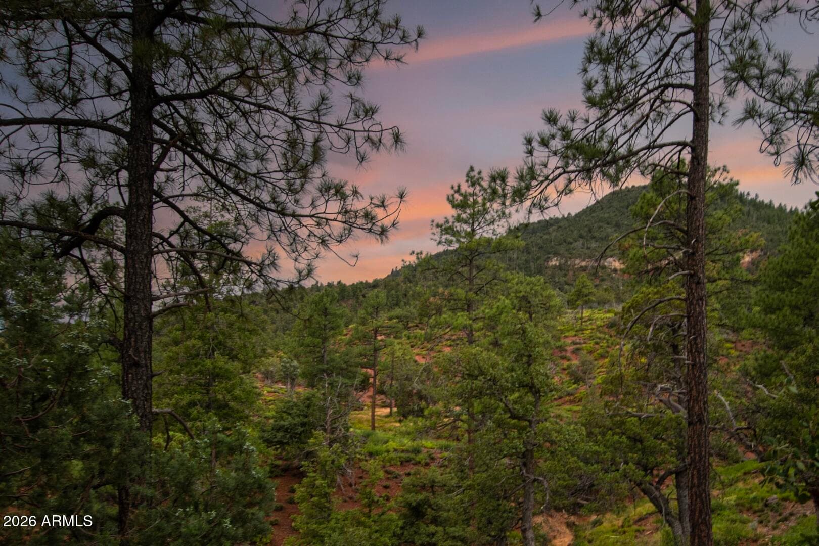 4364 N Strawberry Hollow, Pine, AZ 85544 — photo 53 of 69