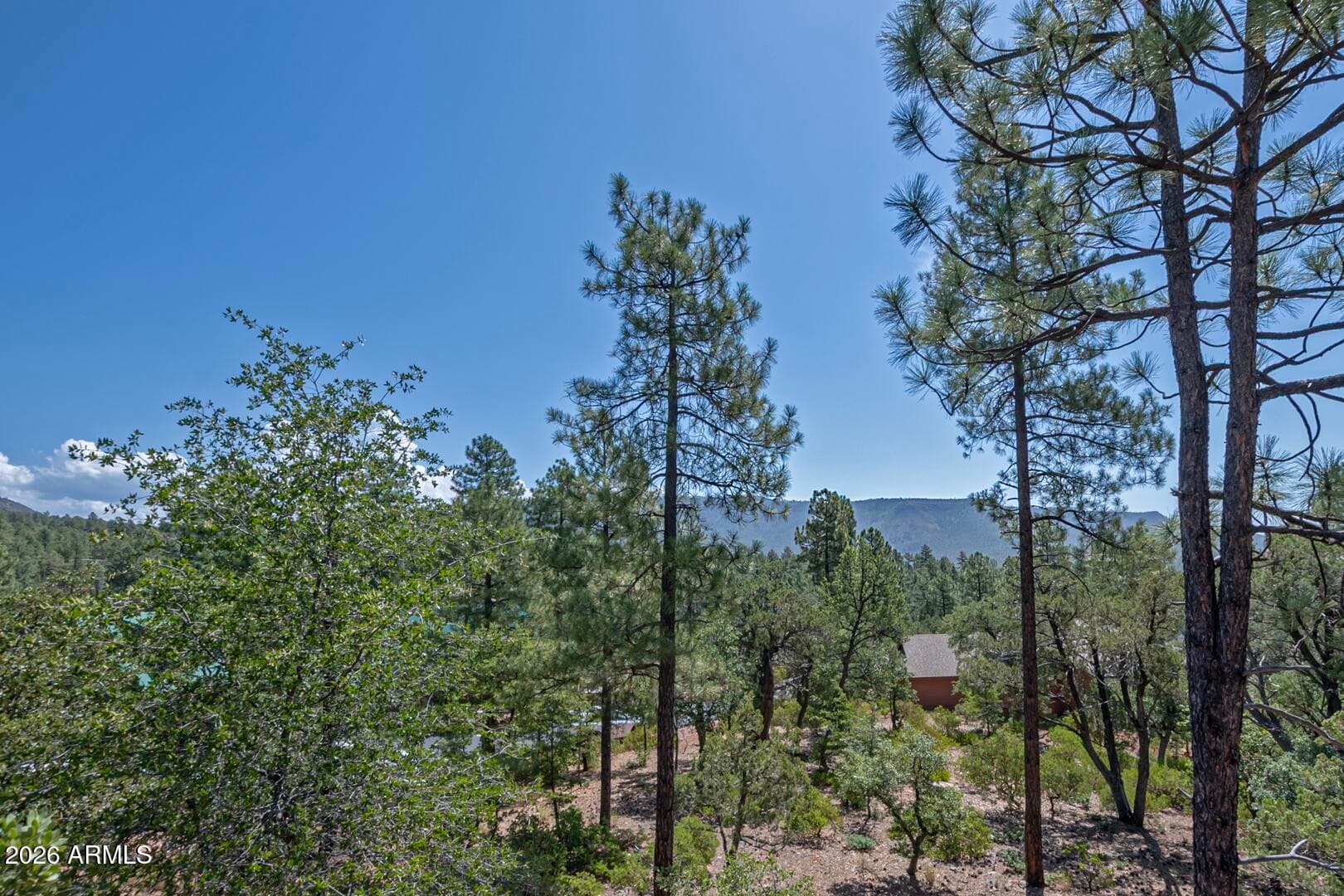 4364 N Strawberry Hollow, Pine, AZ 85544 — photo 61 of 69