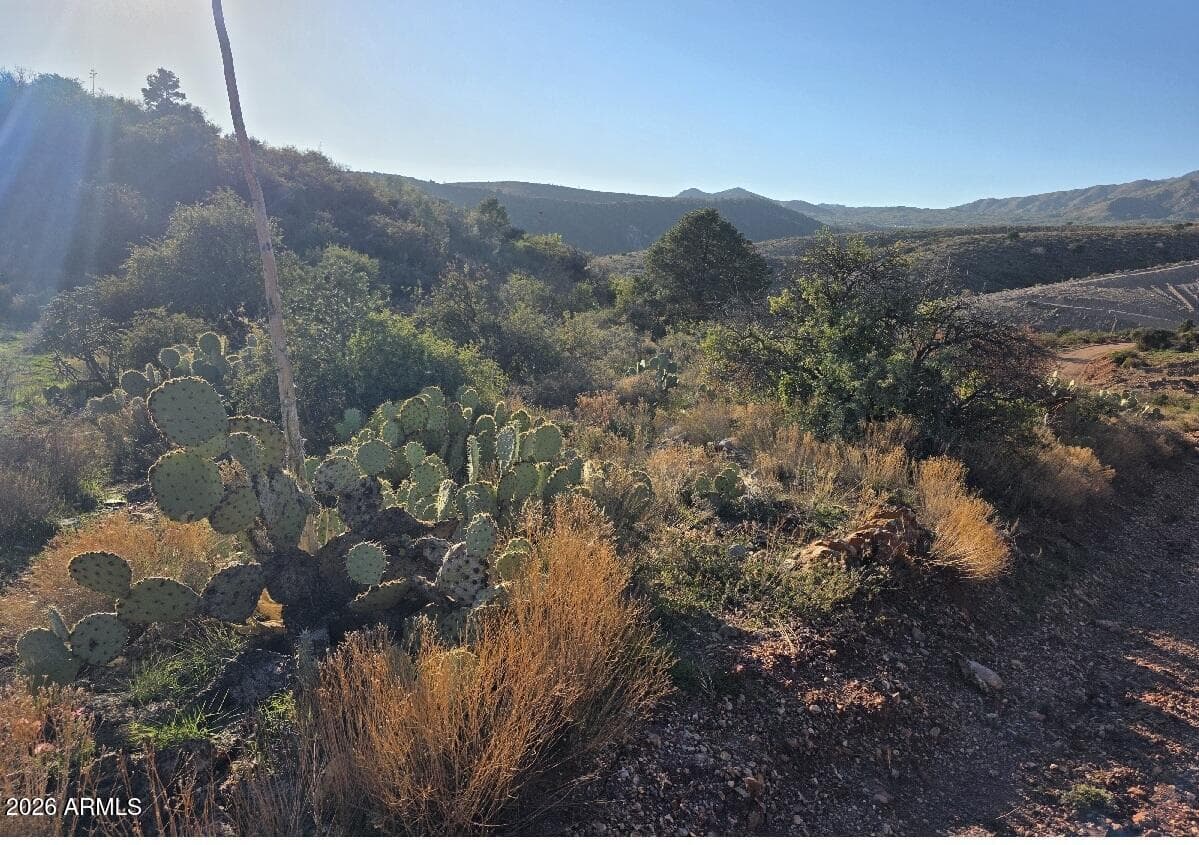 2062 E Horseshoe Springs Road, Globe, AZ 85501 — photo 19 of 38