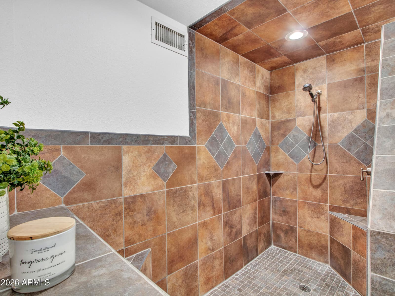 18846 N 95TH Avenue, Peoria, AZ 85382 — photo 32 of 53