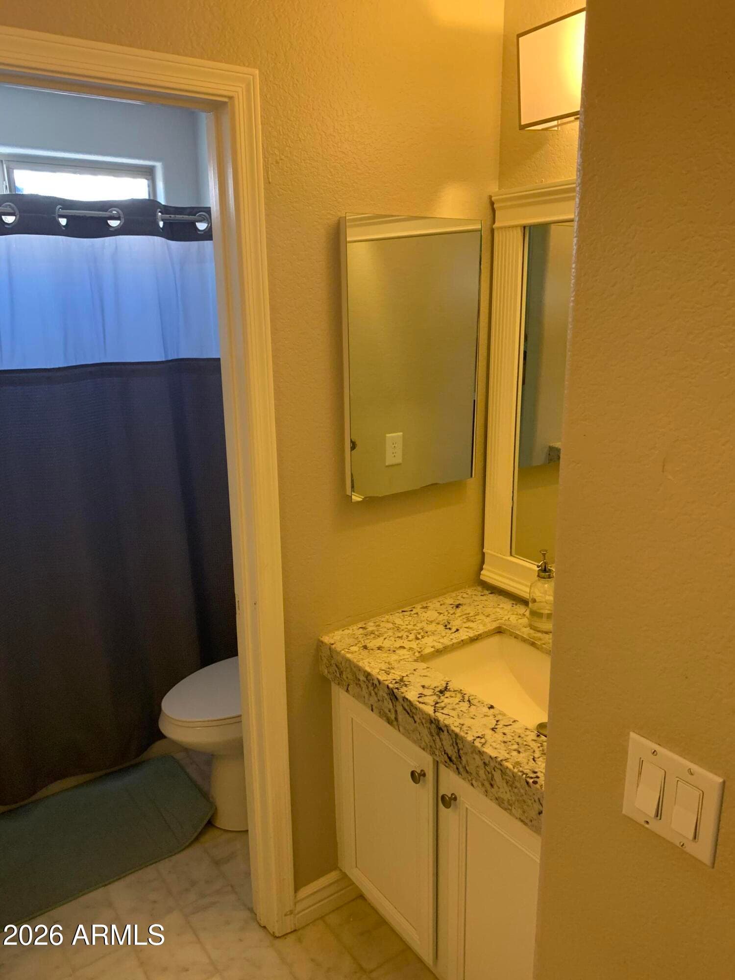 742 N HARMONY Avenue, Gilbert, AZ 85234 — photo 19 of 33