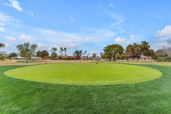 186 Leisure World, Mesa, AZ 85206 — photo 40 of 53