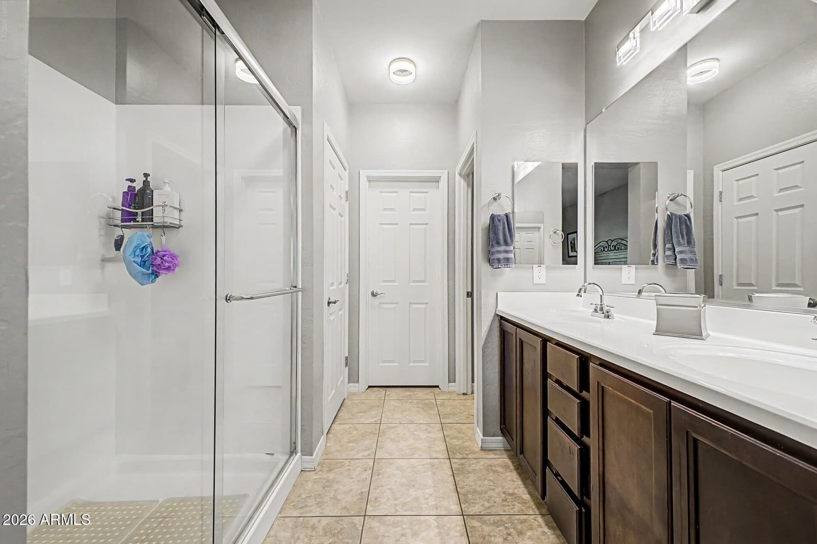 42163 N WOLLEMI Street, Queen Creek, AZ 85140 — photo 15 of 62