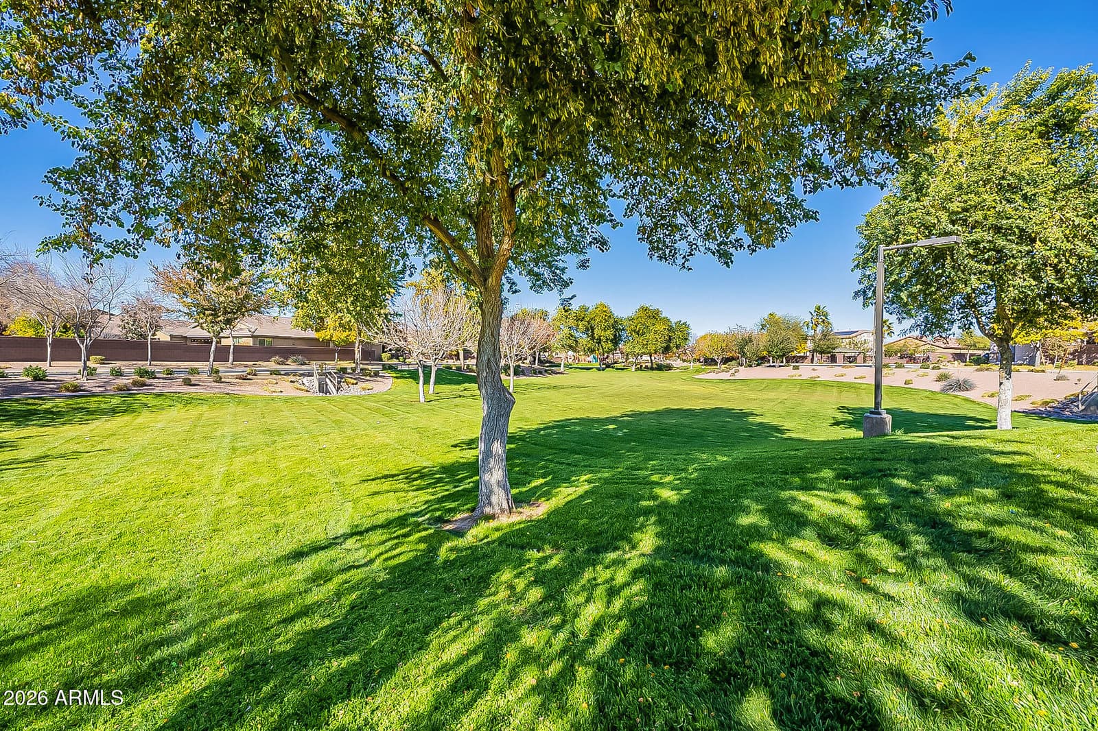 42163 N WOLLEMI Street, Queen Creek, AZ 85140 — photo 48 of 62