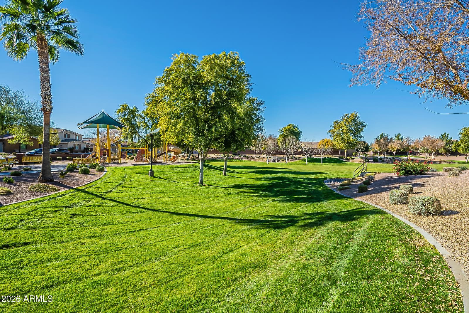 42163 N WOLLEMI Street, Queen Creek, AZ 85140 — photo 55 of 62