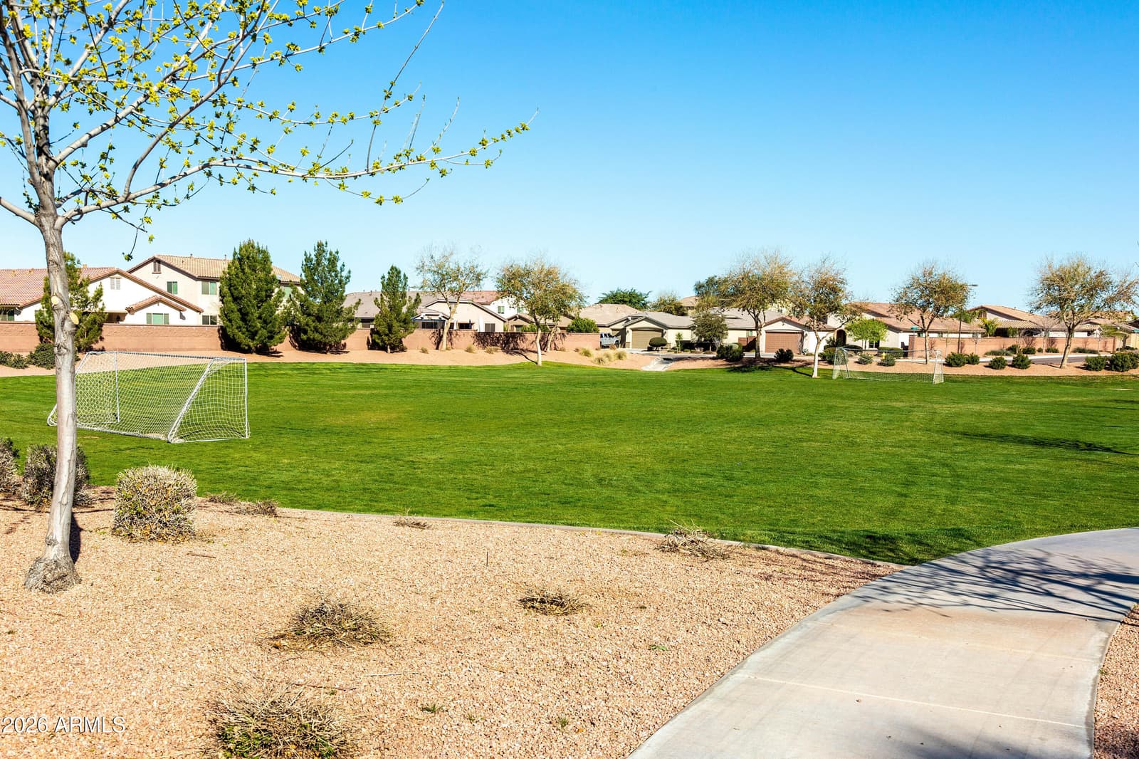 42163 N WOLLEMI Street, Queen Creek, AZ 85140 — photo 57 of 62