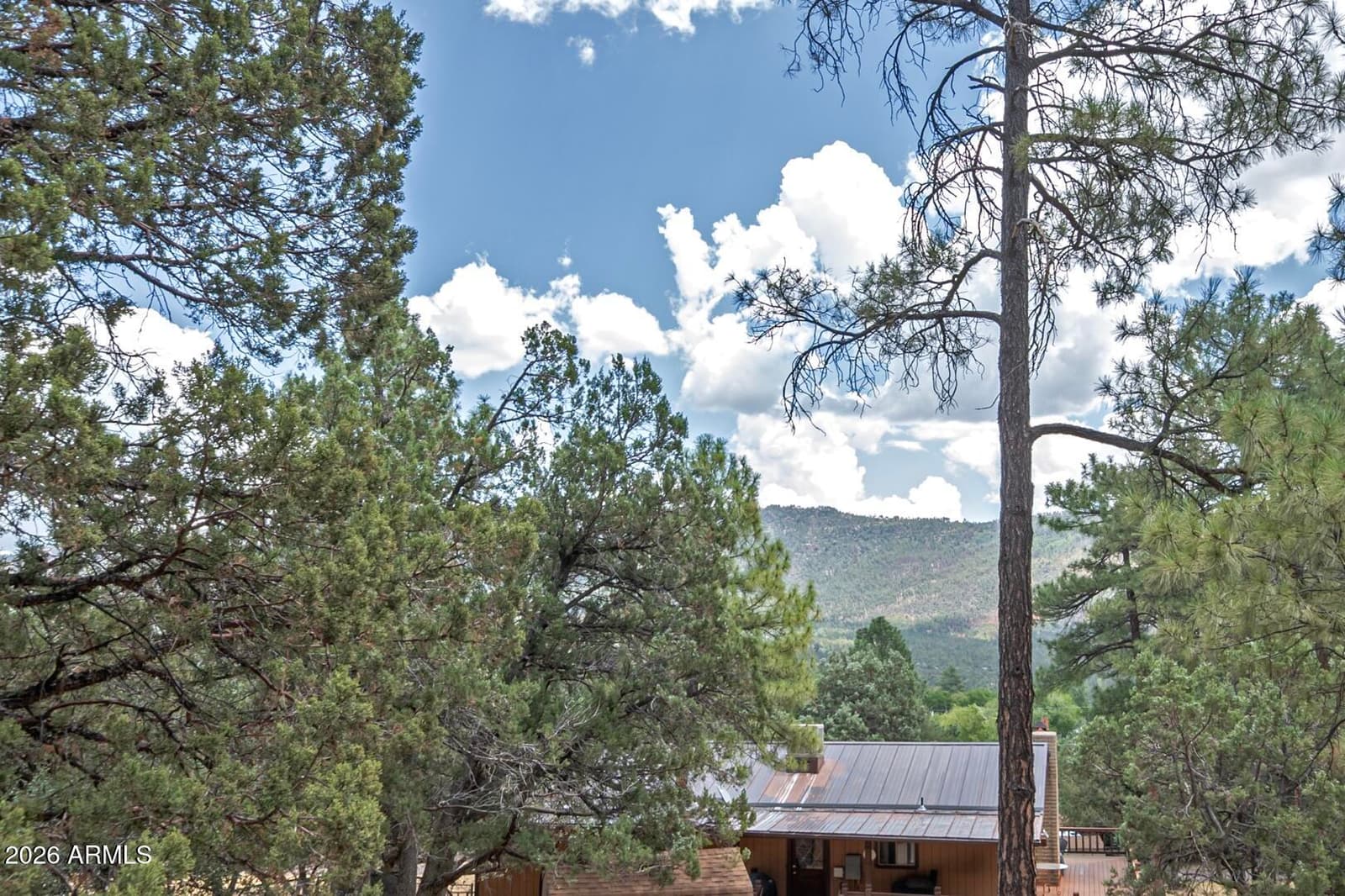 3943 N Pine Road, Pine, AZ 85544 — photo 5 of 34