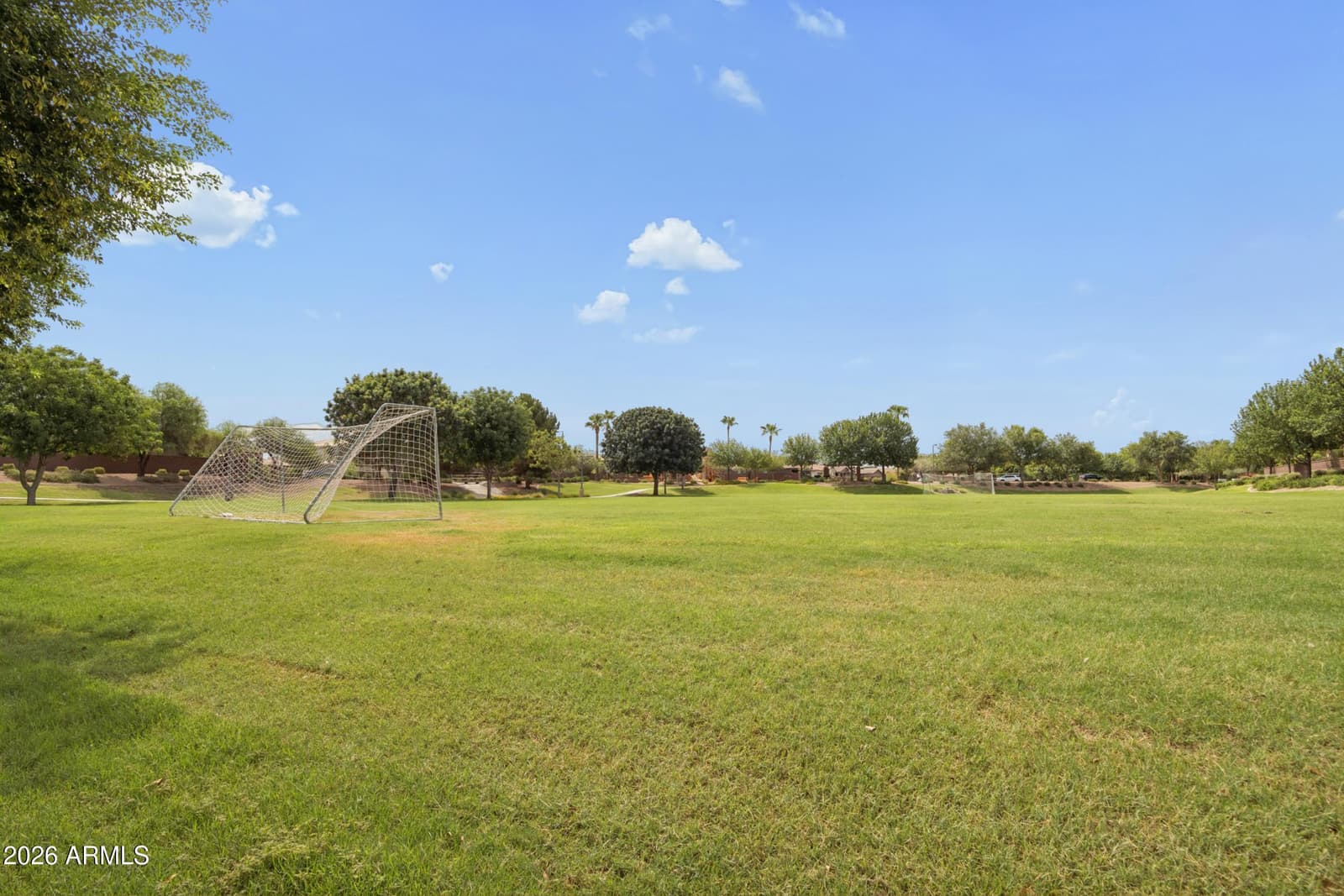 1084 W FEVER TREE Avenue, Queen Creek, AZ 85140 — photo 43 of 55