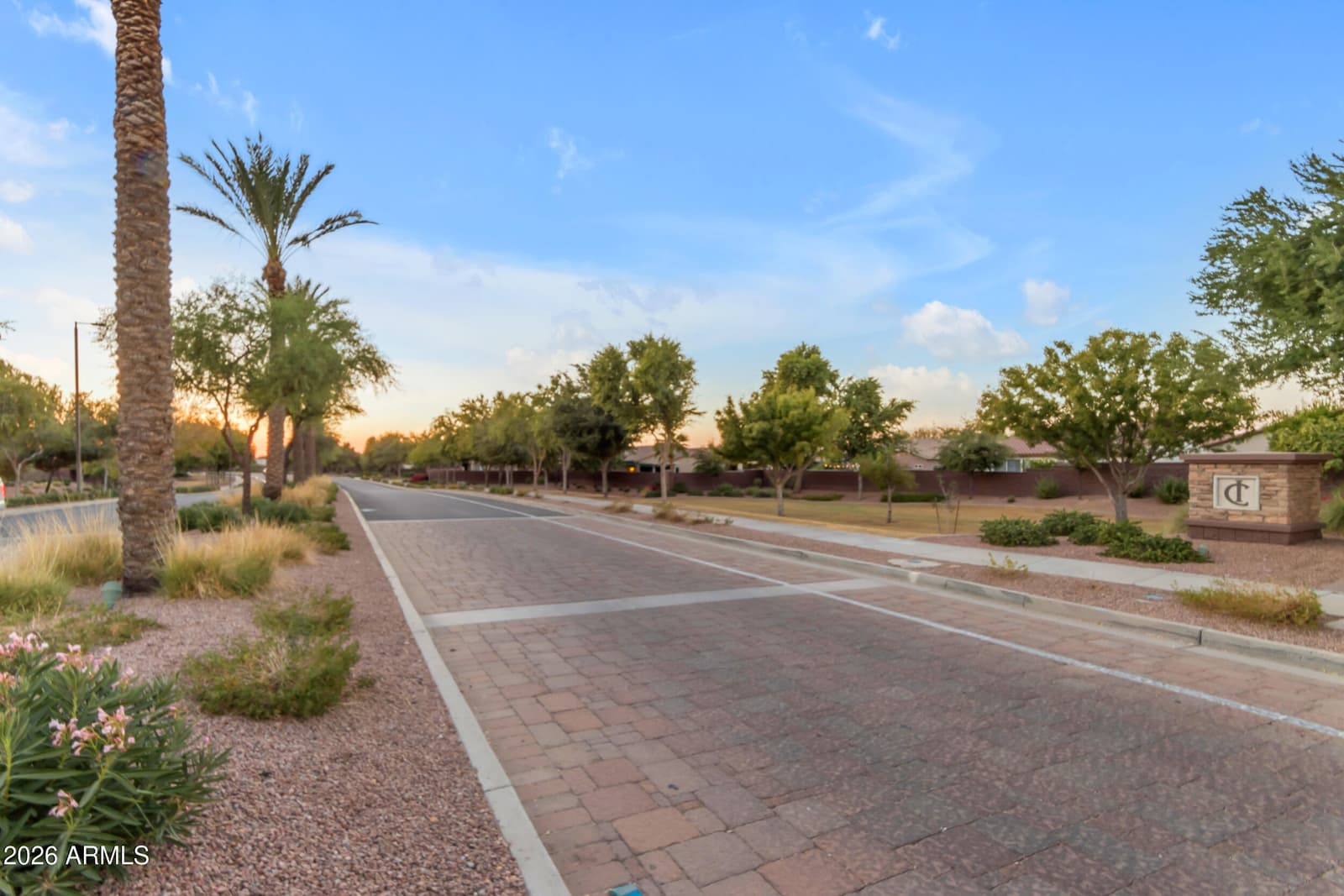 1084 W FEVER TREE Avenue, Queen Creek, AZ 85140 — photo 53 of 55